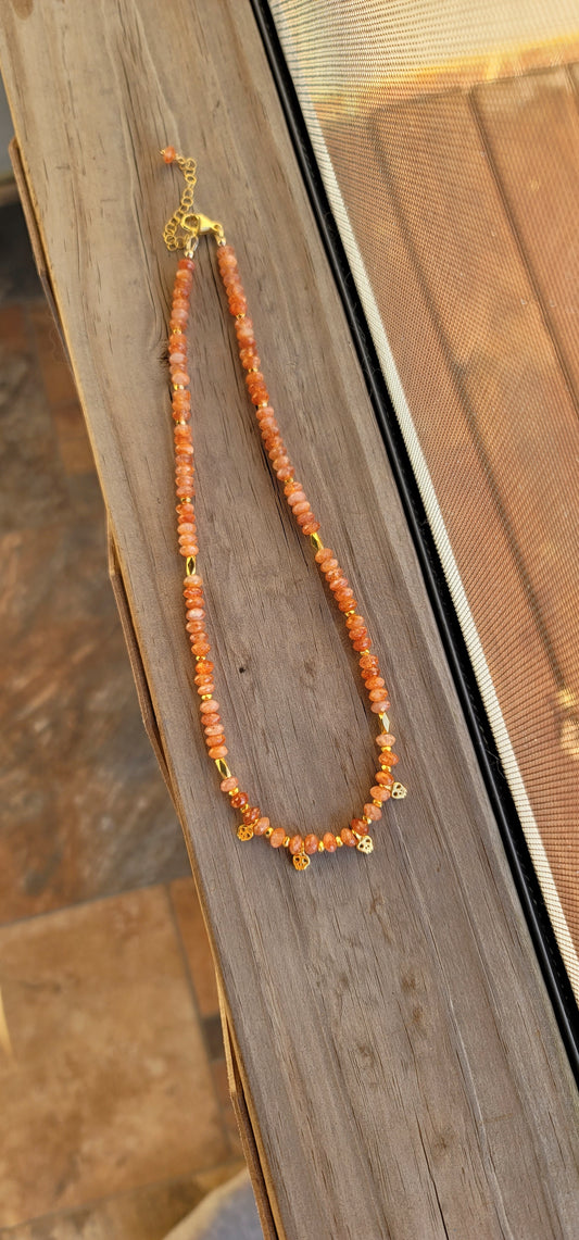 Pumpkin Patch & Scarecrow